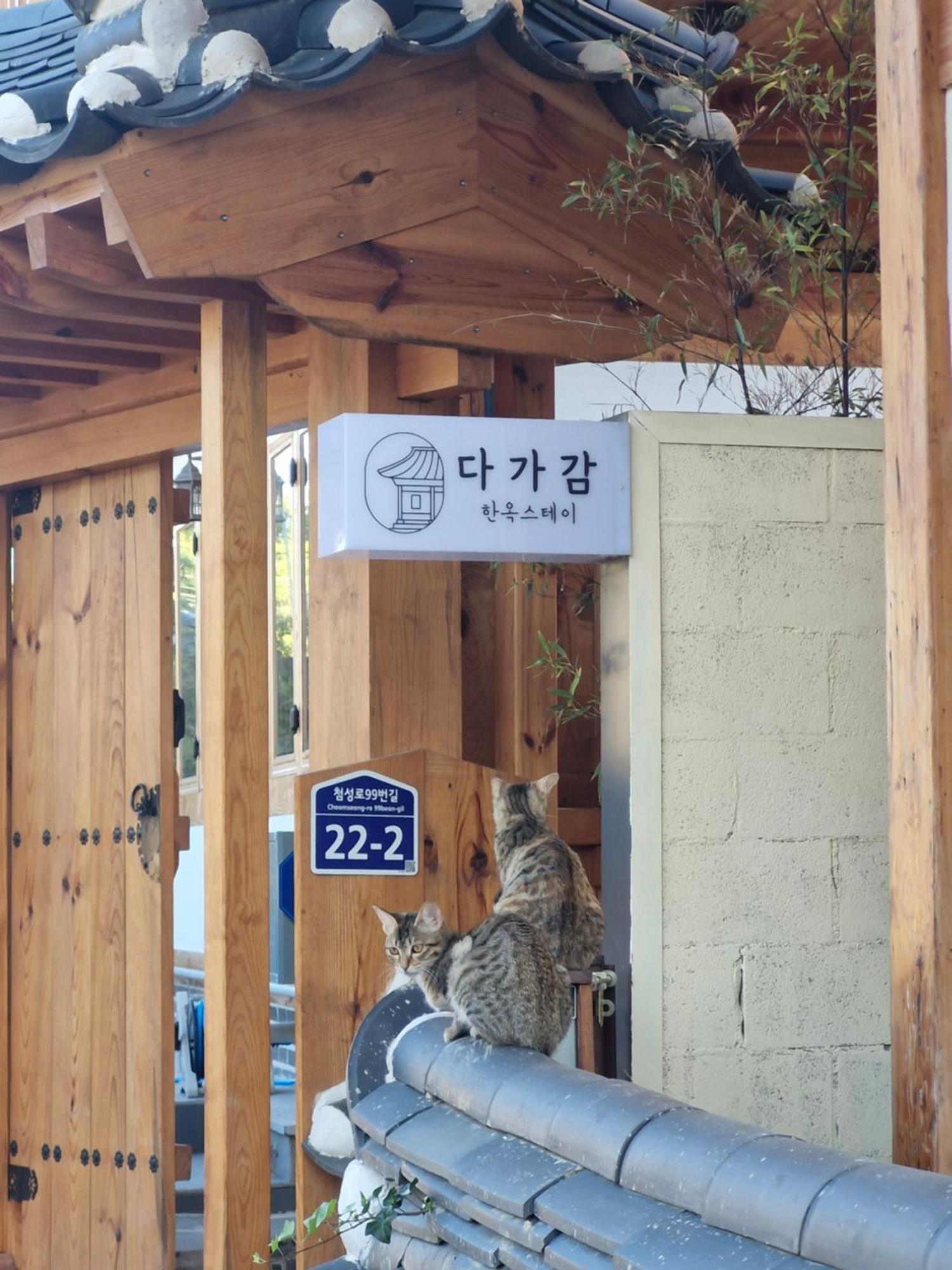 Hanok Stay Da-Ga-Gam 庆州 外观 照片
